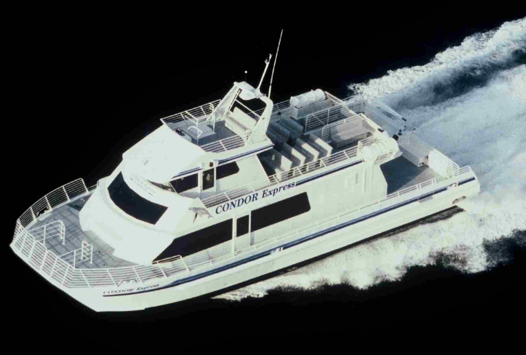 Condor Express Whale Watching