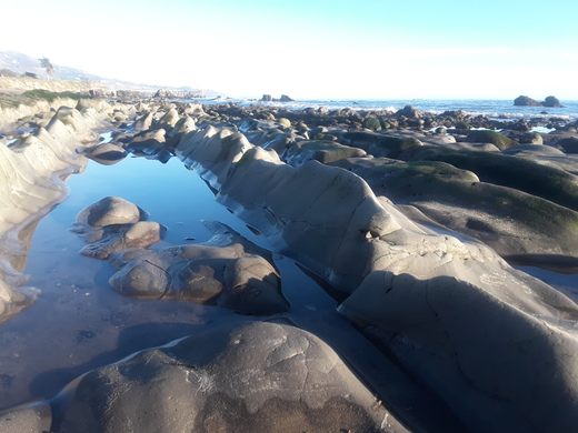 Carpinteria Tar Pits