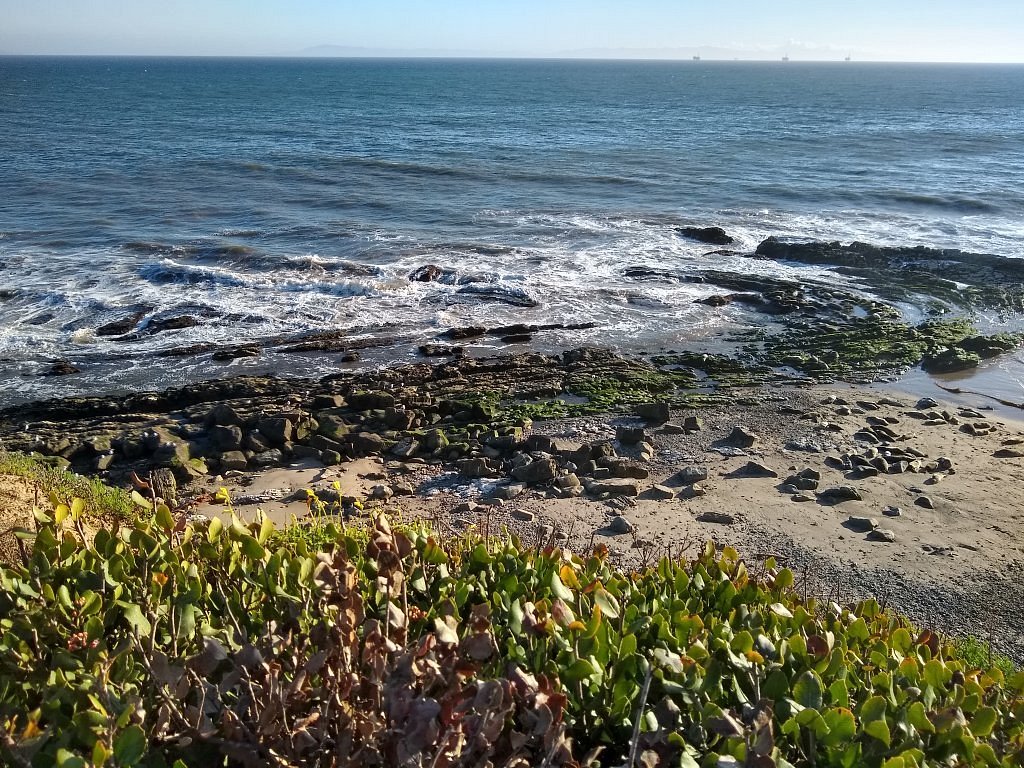 Carpinteria Seal Sanctuary